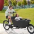 SachsenRAD T8 Grand Modern Elektrische Bakfiets