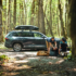 Thule Force XT Dachbox